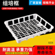 加厚耐高温组培筐 塑料筐周转筐 大号专用托盘 组培框 周转盘箱框