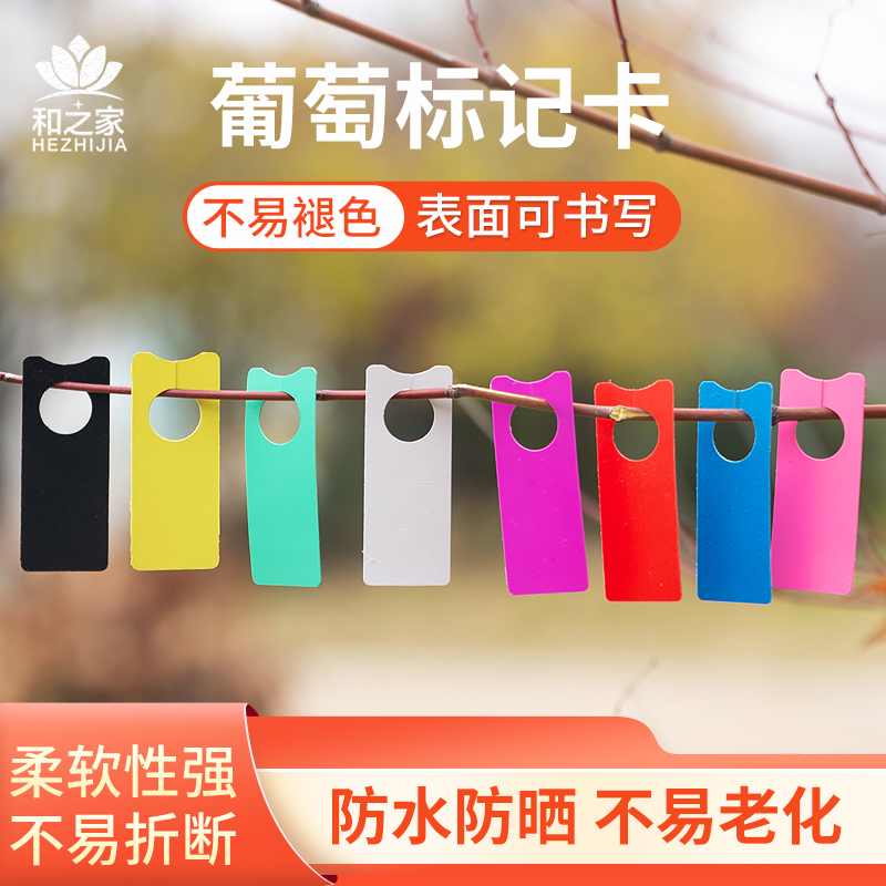 和之家葡萄标记牌色卡记号牌