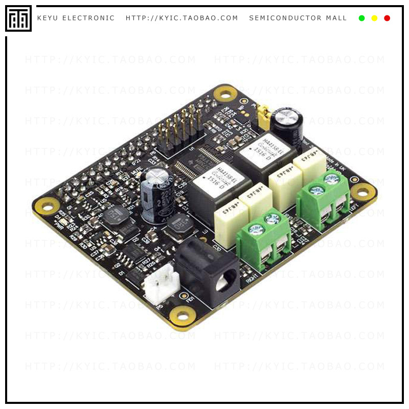 IQA002【PI-DIGIAMP+】