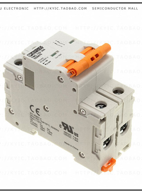 1020076【CIRCUIT BRAKER 30A】