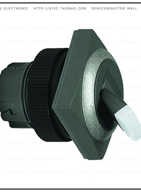 1.30247.5520200【CONFIG SW BODY TOGGLE NON-ILLUM】