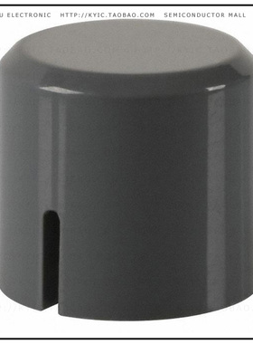 PV GY【CAP KEYSWITCH GRAY】