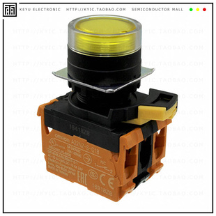 10A G202 PUSH DPST SWITCH TYA 120V A22NL BGM