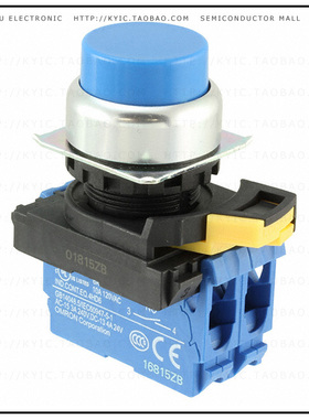 A22NN-RPM-NAA-G101-NN【SWITCH PUSH DPST-NO 10A 120V】