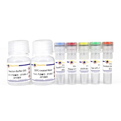 BeyoRT II cDNA第一链合成试剂盒(RNase H-)碧云天  D7168