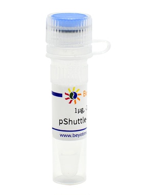 pShuttle-CMV-C-HA(腺病毒质粒) 碧云天D8121
