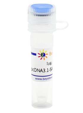 pcDNA3.1-SARS-CoV-2-M-Myc  碧云天 D2941