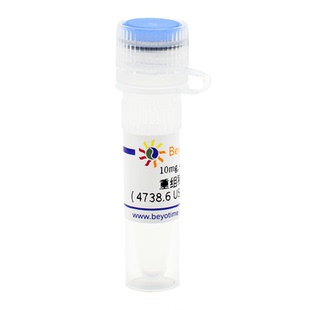 重组猪胰蛋白酶 P4205 碧云天生物