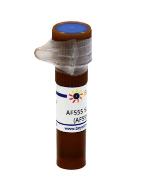 AF555 Succinimidyl Ester (AF555琥珀酰亚胺酯) P1245