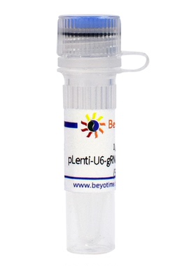 pLenti-U6-gRNA-Cas9-P2A-EGFP-Neo 碧云天 D8301