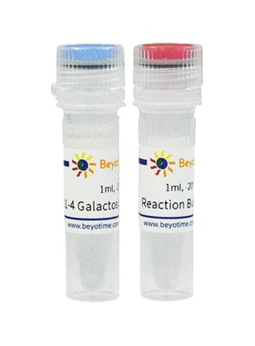 β1-4半乳糖苷酶(β1-4 Galactosidase) 碧云天 P2345S  P2345M