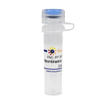 Recombinant Human Cdc42 (Flag-Tag)碧云天 P2451