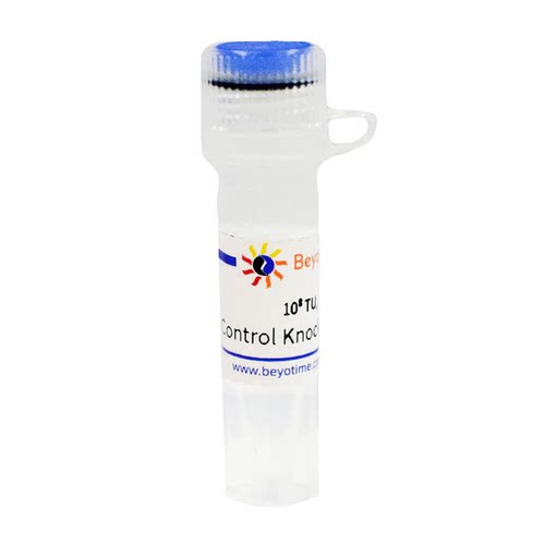 Control Knockout Lentivirus  碧云天生物 L00015