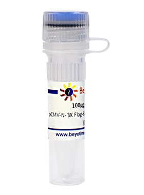 pCMV-N-3X Flag-SUMOEU1-MCS-Avi-IRES-BirA (生物素标记质粒)