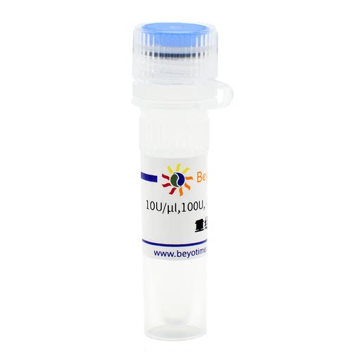 重组肠激酶   P4237 碧云天生物