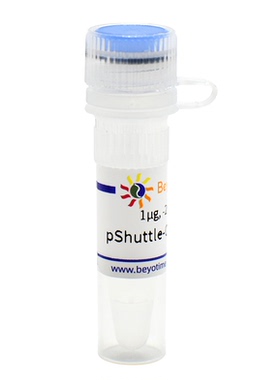 pShuttle-CMV-C-Myc(腺病毒质粒) 碧云天D8125