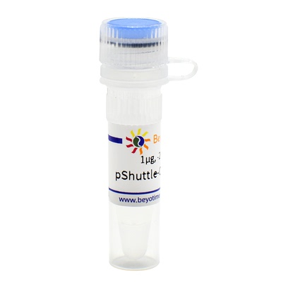 pShuttle-CMV-C-Myc(腺病毒质粒) 碧云天D8125