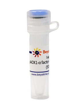 pAOX1-α factor-MCS-His-Amp&Ze 碧云天D2884