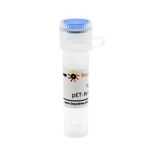 pET-N-His-Thrombin-C-His 碧云天生物 D2908
