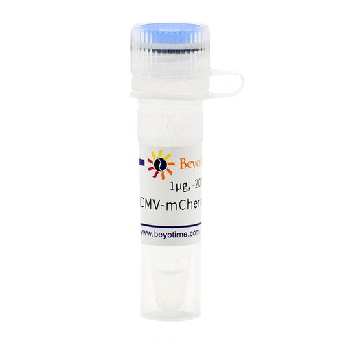 pCMV-mCherry-GFP-LC3B  碧云天 D2816