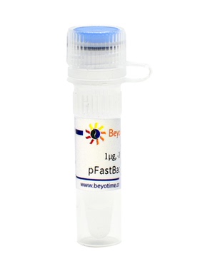 pFastBac1-C-EGFP (昆虫杆状病毒表达质粒) 碧云天 D2804