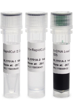 BL1701A RapidCut Ⅱ DpnI 快速限制性内切酶