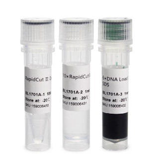 BL1701A RapidCut Ⅱ DpnI 快速限制性内切酶