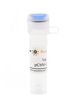 pCMV-C-HA 碧云天 D2639