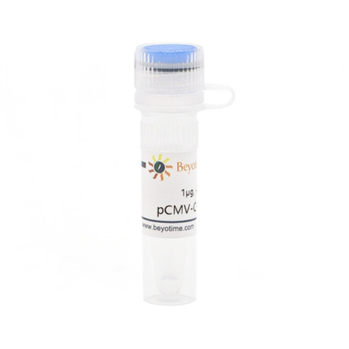 pCMV-C-HA 碧云天 D2639