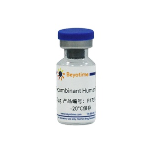 Recombinant Human FGF-4 碧云天 P4735