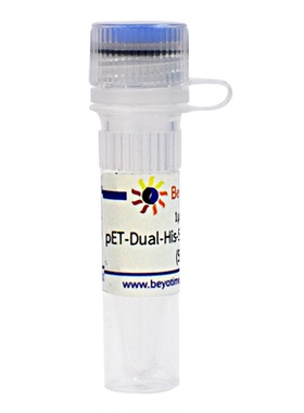 pET-Dual-His-SUMO3-Avi-MCS-BirA(生物素标记原核表达质粒)D3017