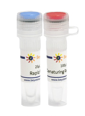 Rapid PNGase F去糖基化试剂盒(变性法)