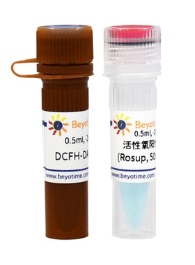 活性氧检测试剂盒S0033S S0033M 碧云天