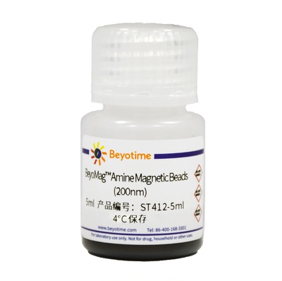 BeyoMag™ Amine Magnetic Beads (氨基磁珠, 200nm) ST412