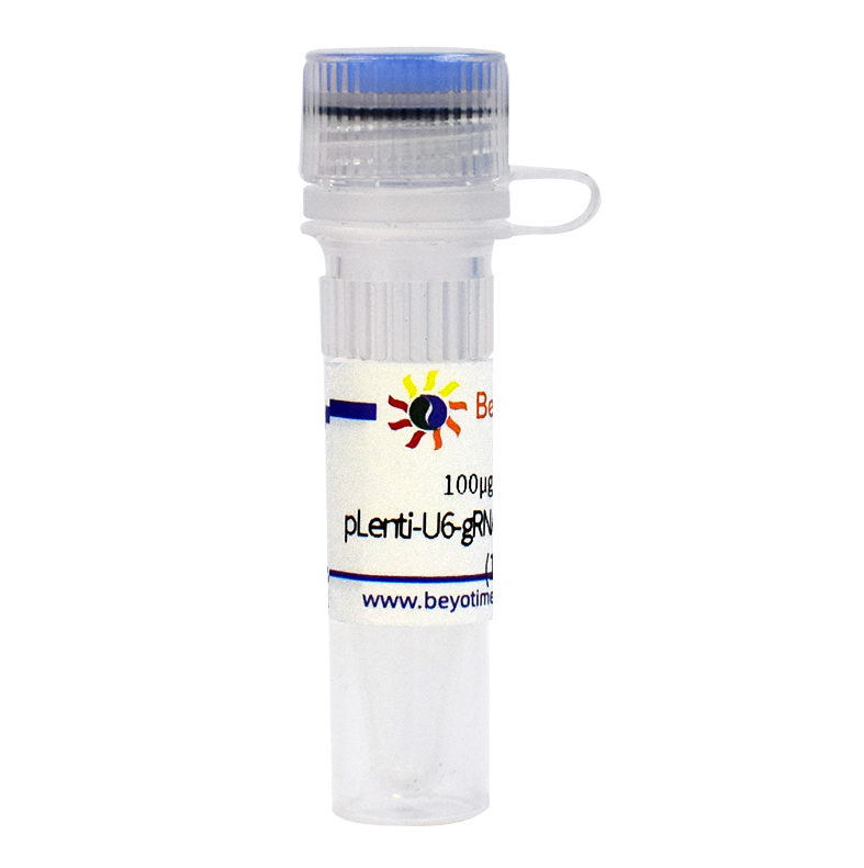 D8305 碧云天  pLenti-U6-gRNA-Cas9-P2A-EGFP-Zeocin