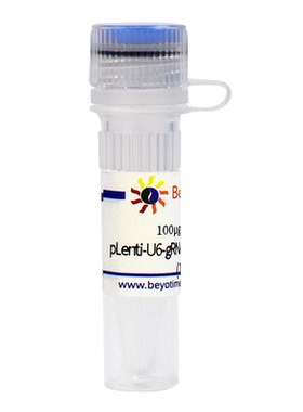 pLenti-U6-gRNA-Cas9-P2A-EGFP-Zeocin 碧云天 D8305