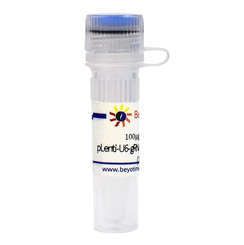 pLenti-U6-gRNA-Cas9-P2A-EGFP-Zeocin 碧云天 D8305
