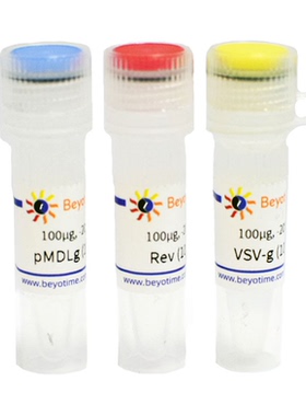 Lentivirus Packaging Vectors Set A 碧云天 L00002