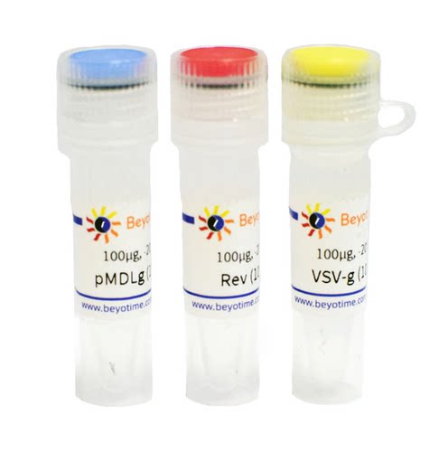 Lentivirus Packaging Vectors Set A 碧云天 L00002