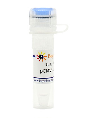 pCMV-GFP-LC3B  碧云天 D2815