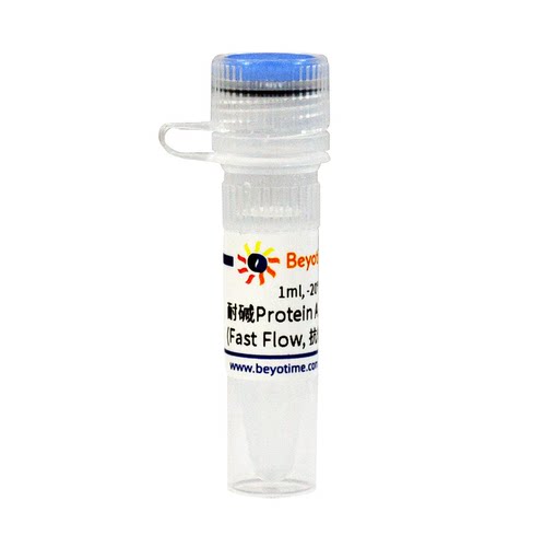 耐碱Protein A Agarose (Fast Flow, 抗体纯化用)碧云天 P2163