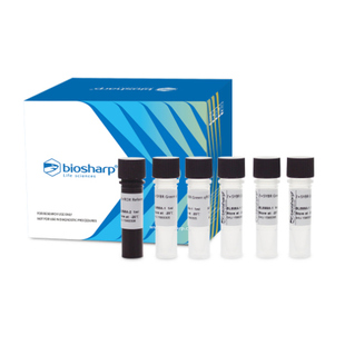 Biosharp BL698A 荧光定量PCR试剂盒（SYBR Green qPCR Mix）