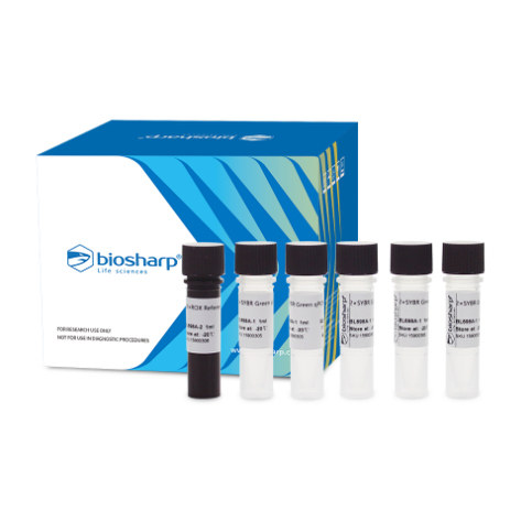 Biosharp BL698A 荧光定量PCR试剂盒（SYBR Green qPCR Mix）
