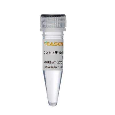 2× Hieff® Robust PCR Master Mix (No Dye)