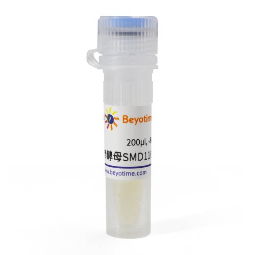 毕赤酵母SMD1168H甘油菌 D0415碧云天生物