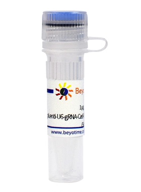 pLenti-U6-gRNA-Cas9-P2A-mCherry-Puro&Zeocin  碧云天D8304