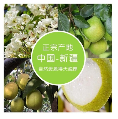 新疆库尔勒香梨全母梨10斤装