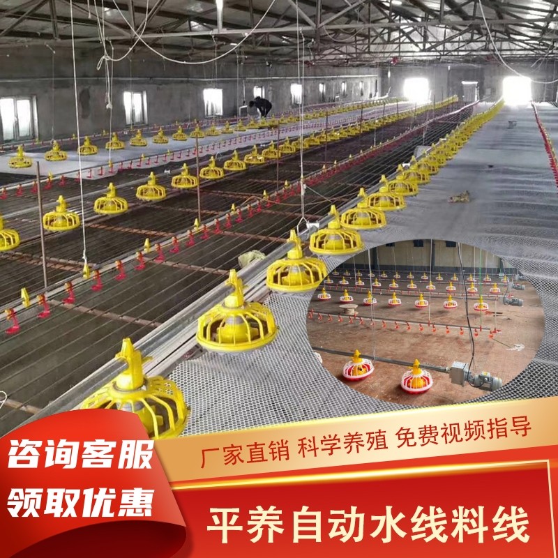 养殖畜牧鸡舍鸡棚水线料线自动喂料机饮水器投料机全线升降上料机