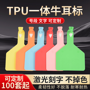 TPU耳标号牌加厚一体牛耳标无字可定制连体牛耳牌兽用耳标标识牌