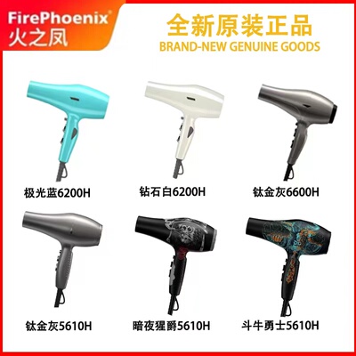 火之凤6600h电吹风无刷发型师